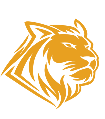 AURAE AI